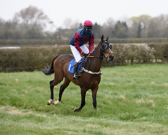 Race 3 - The PPORA Novice Riders Race  (38 of 200)