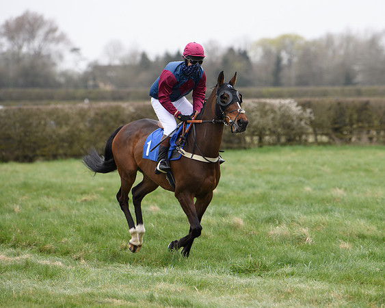 Race 3 - The PPORA Novice Riders Race  (39 of 200)