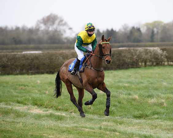 Race 3 - The PPORA Novice Riders Race  (43 of 200)