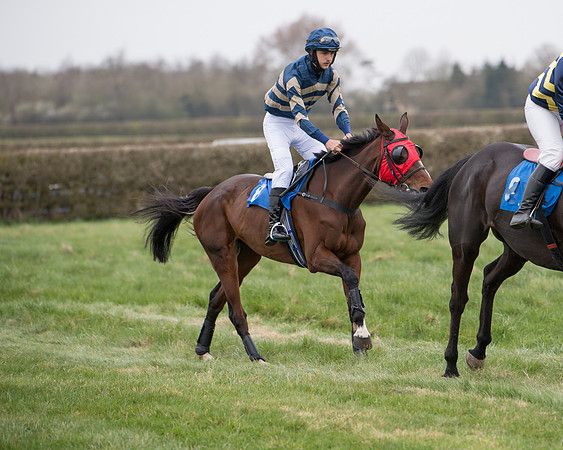Race 3 - The PPORA Novice Riders Race  (47 of 200)