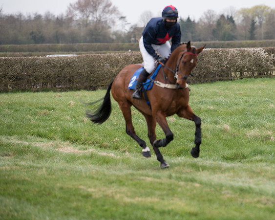 Race 3 - The PPORA Novice Riders Race  (52 of 200)