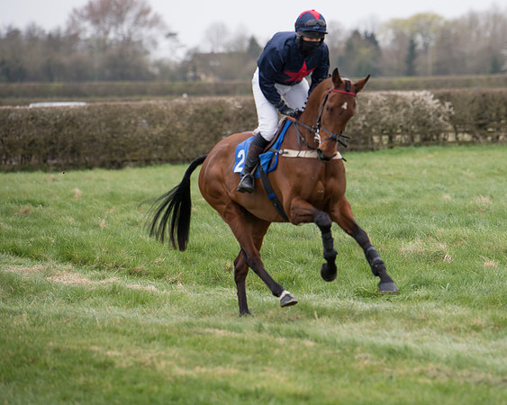 Race 3 - The PPORA Novice Riders Race  (53 of 200)