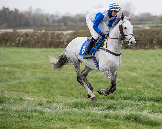 Race 3 - The PPORA Novice Riders Race  (58 of 200)