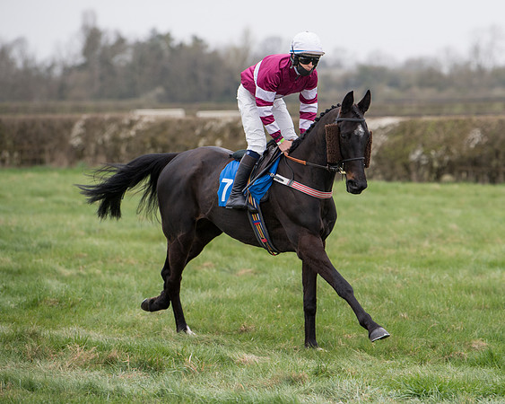 Race 3 - The PPORA Novice Riders Race  (62 of 200)
