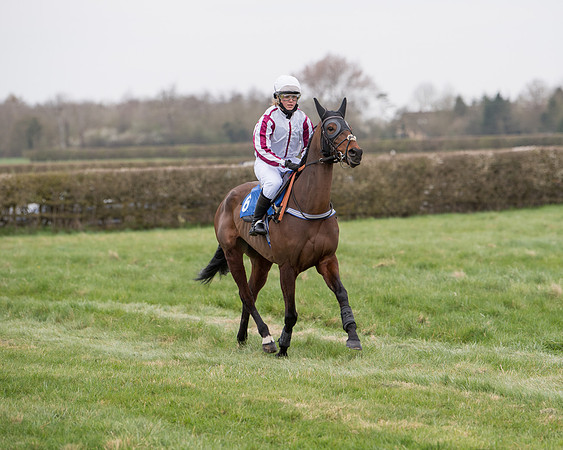 Race 3 - The PPORA Novice Riders Race  (64 of 200)