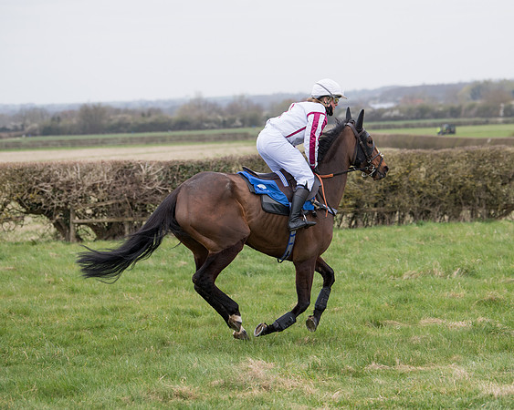 Race 3 - The PPORA Novice Riders Race  (68 of 200)