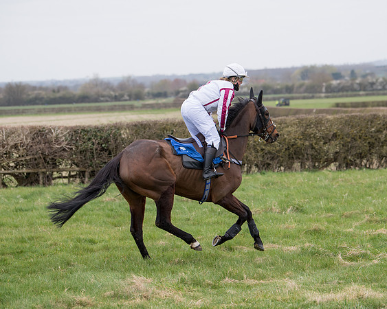 Race 3 - The PPORA Novice Riders Race  (69 of 200)