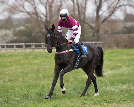Race 3 - The PPORA Novice Riders Race  (84 of 200)