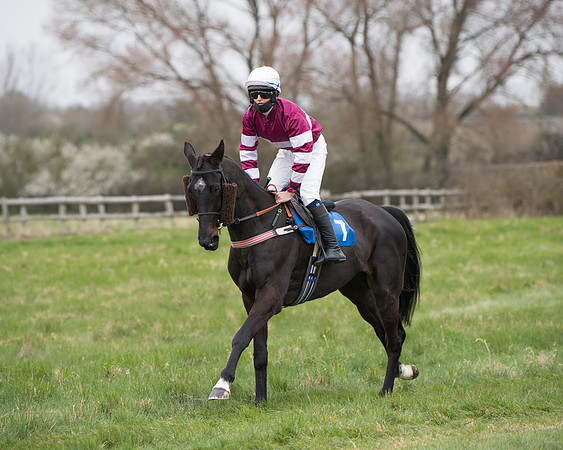 Race 3 - The PPORA Novice Riders Race  (85 of 200)