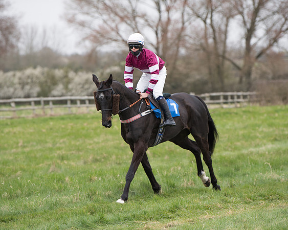 Race 3 - The PPORA Novice Riders Race  (86 of 200)