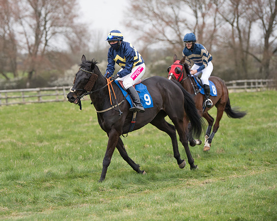 Race 3 - The PPORA Novice Riders Race  (87 of 200)
