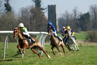 Pony Races -  8