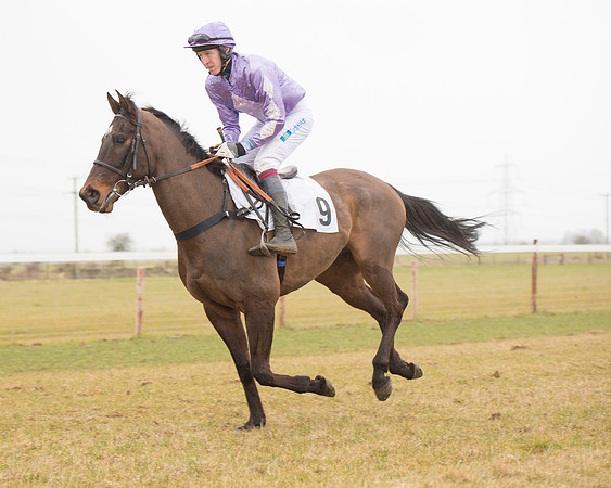 Race 6 - Open Maiden (45 of 120).jpg