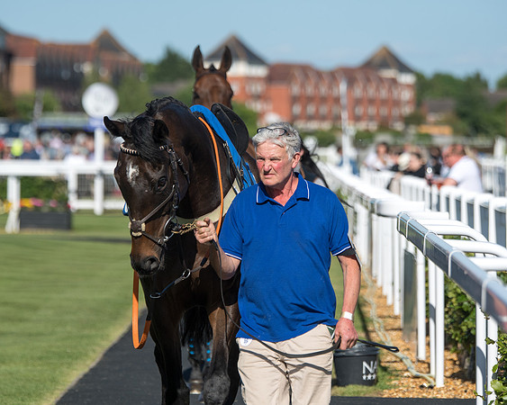 Race 1 - PPSA Open Hunter chase (10 of 78)