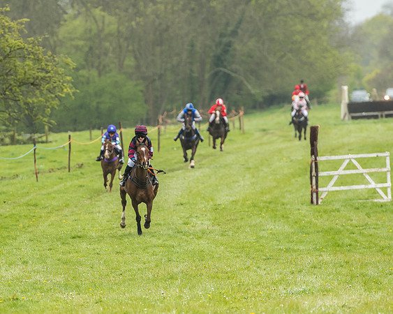 Pony Race - 1 - Conditions-1