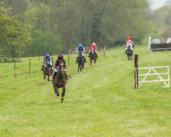Pony Race - 1 - Conditions-2