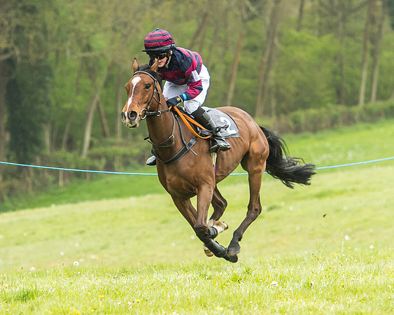 Pony Race - 1 - Conditions-6