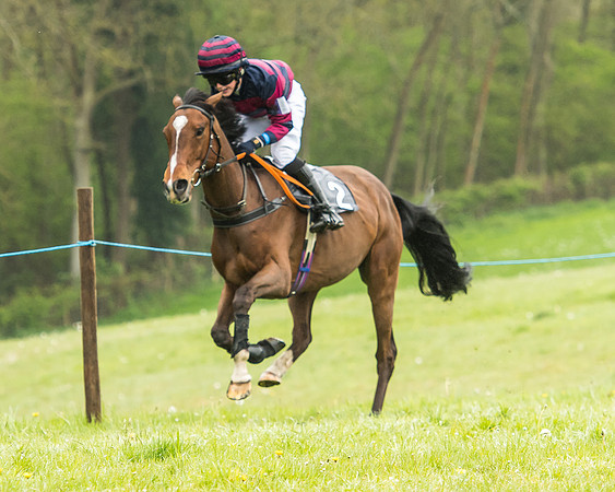 Pony Race - 1 - Conditions-7
