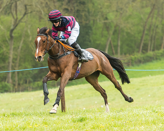 Pony Race - 1 - Conditions-8