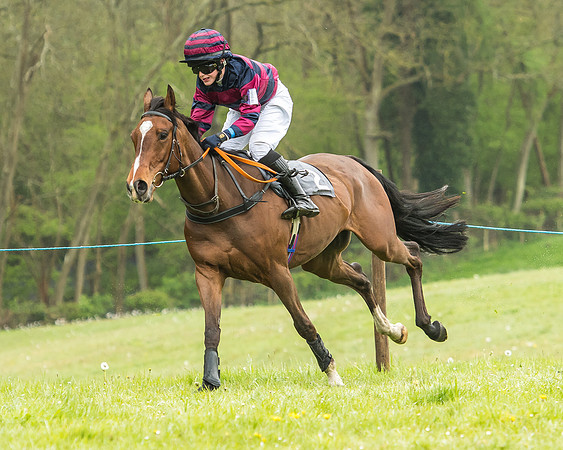 Pony Race - 1 - Conditions-9