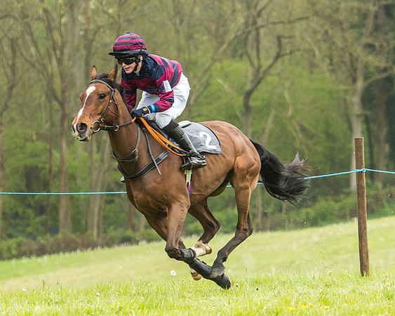 Pony Race - 1 - Conditions-10