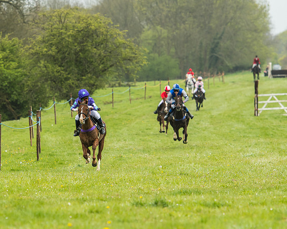 Pony Race - 1 - Conditions-11