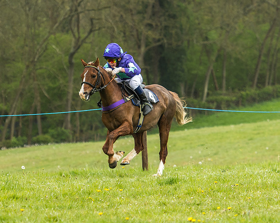 Pony Race - 1 - Conditions-14