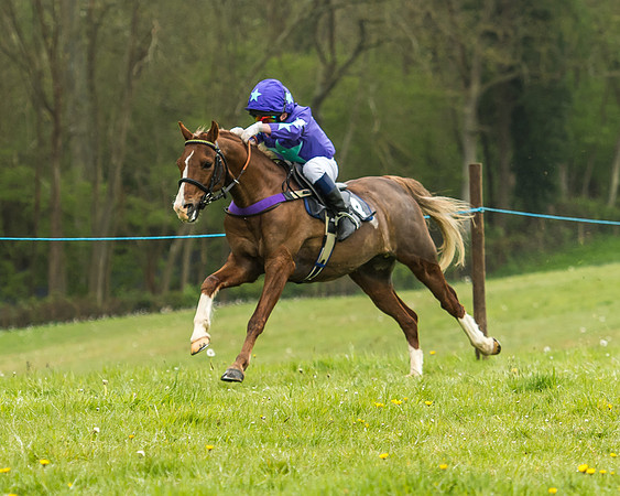 Pony Race - 1 - Conditions-15