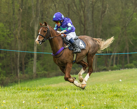 Pony Race - 1 - Conditions-17