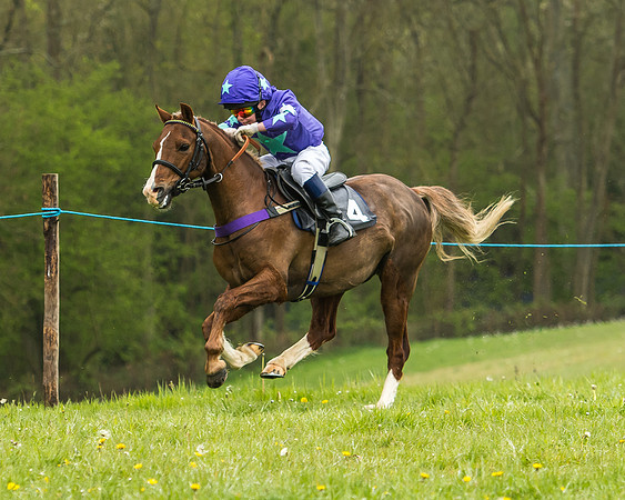 Pony Race - 1 - Conditions-18