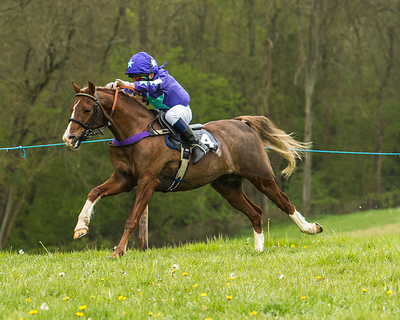 Pony Race - 1 - Conditions-19