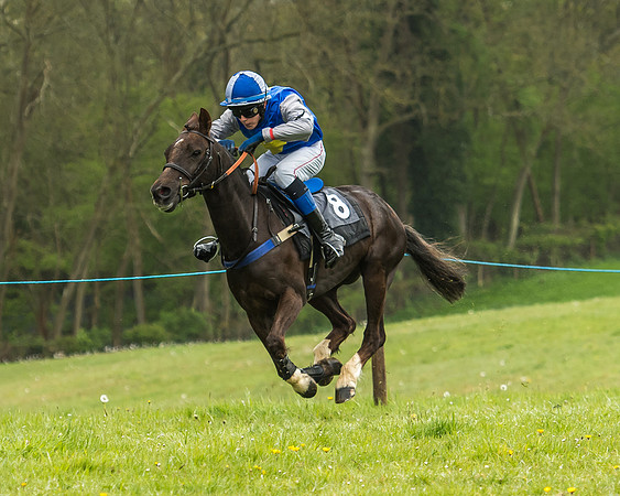 Pony Race - 1 - Conditions-20