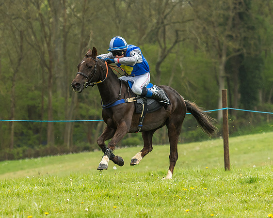 Pony Race - 1 - Conditions-21