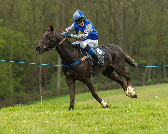 Pony Race - 1 - Conditions-23