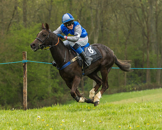 Pony Race - 1 - Conditions-24