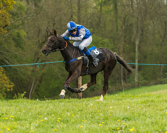 Pony Race - 1 - Conditions-25