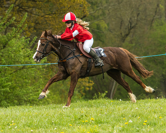 Pony Race - 1 - Conditions-31