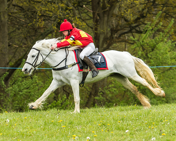Pony Race - 1 - Conditions-43