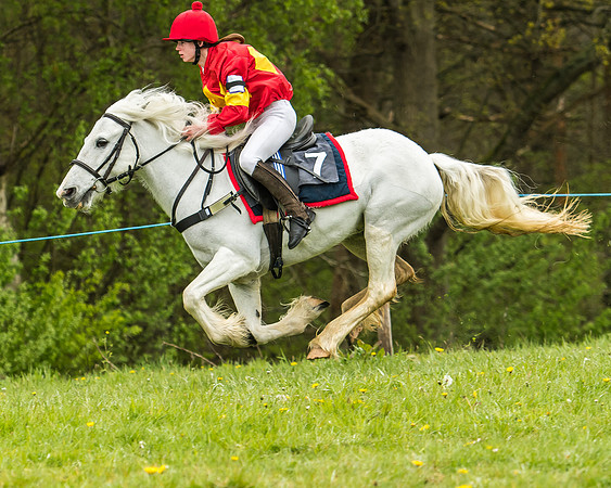 Pony Race - 1 - Conditions-45