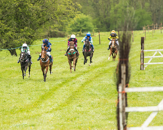Pony Race - 2  - Open 138-1