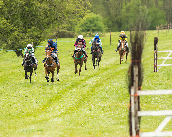 Pony Race - 2  - Open 138-2