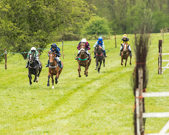 Pony Race - 2  - Open 138-3
