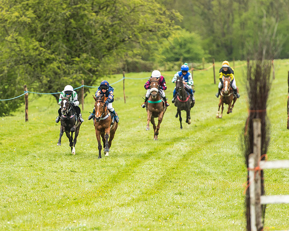Pony Race - 2  - Open 138-4