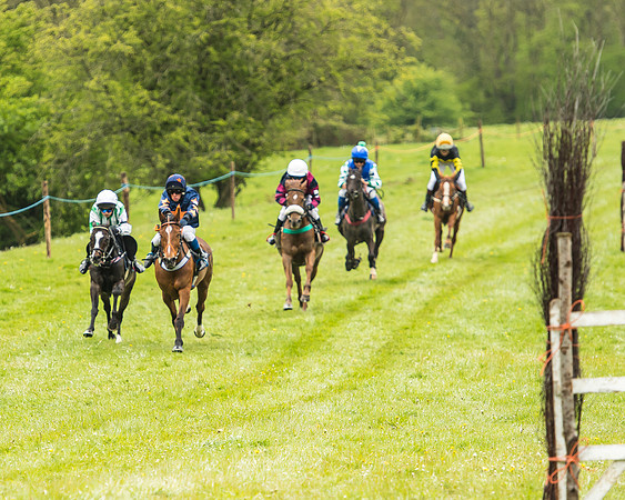 Pony Race - 2  - Open 138-5