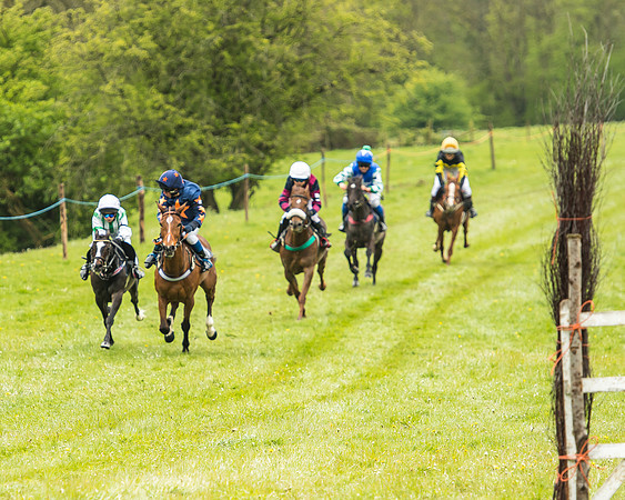 Pony Race - 2  - Open 138-6