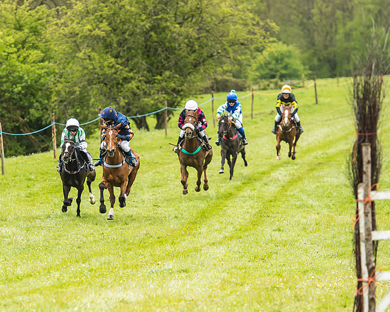 Pony Race - 2  - Open 138-7