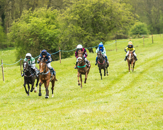 Pony Race - 2  - Open 138-11