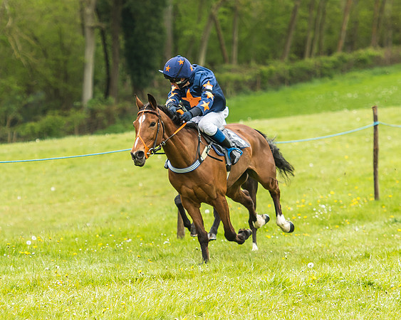 Pony Race - 2  - Open 138-14