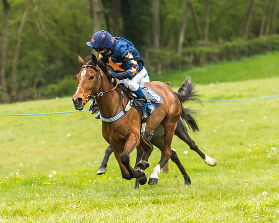 Pony Race - 2  - Open 138-15