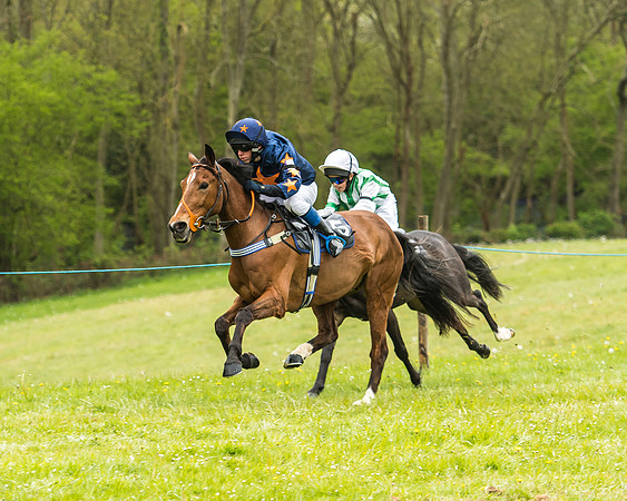 Pony Race - 2  - Open 138-16